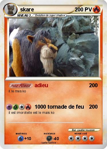 Pokemon skare