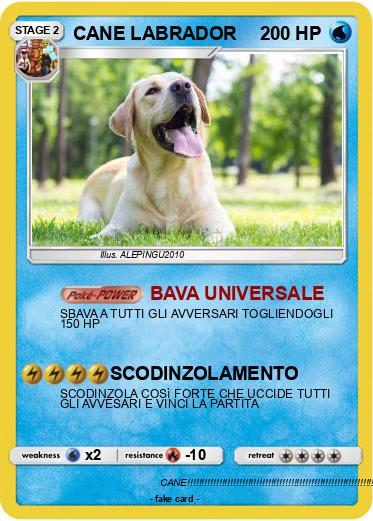 Pokemon CANE LABRADOR