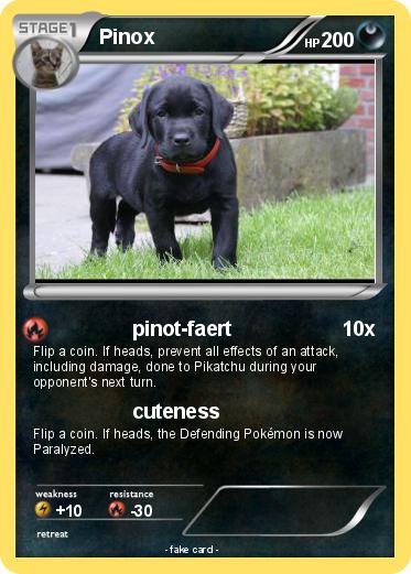 Pokemon Pinox