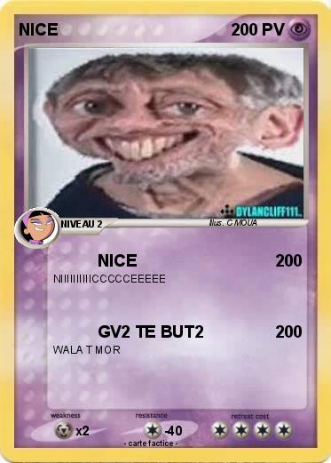 Pokemon NICE