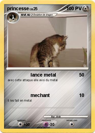 Pokemon princesse