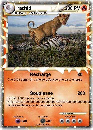 Pokemon rachid