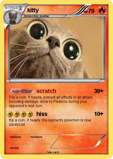 Pokemon kitty
