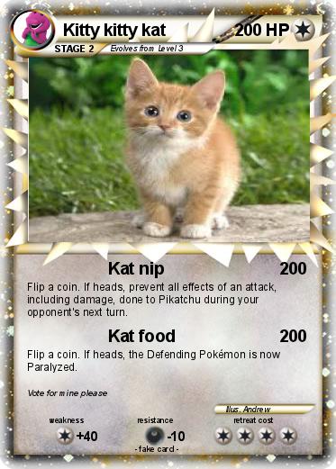 Pokemon Kitty kitty kat