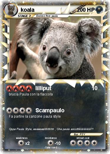 Pokemon koala