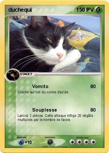 Pokemon duchequi