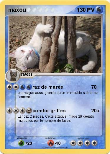 Pokemon maxou