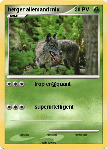 Pokemon berger allemand mix