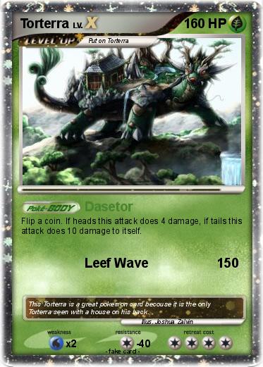 Pokemon Torterra