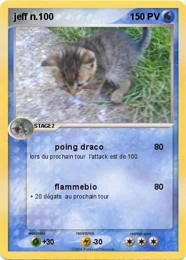 Pokemon jeff n.100