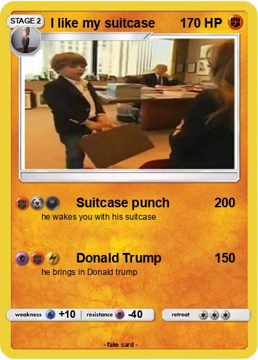 Pokemon I like my suitcase