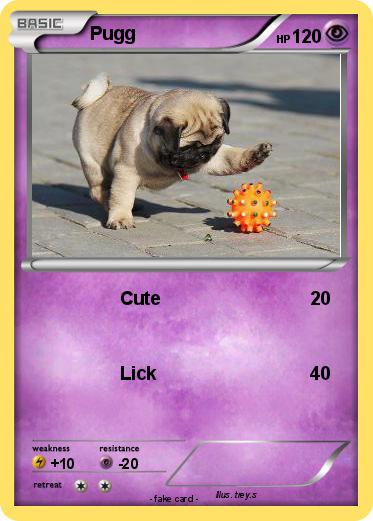 Pokemon Pugg