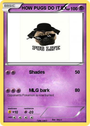 Pokemon HOW PUGS DO IT EX