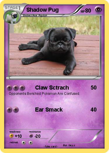 Pokemon Shadow Pug