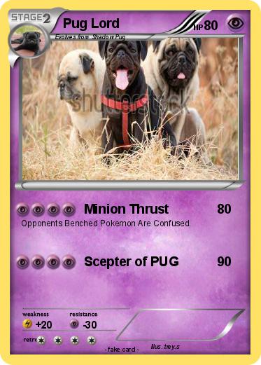 Pokemon Pug Lord