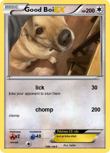 Pokemon Good Boi