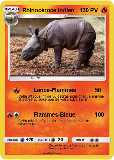 Pokemon Rhinocéroce indien
