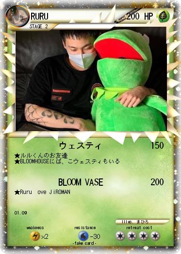 Pokemon RURU