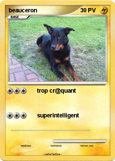 Pokemon beauceron