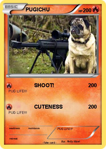 Pokemon PUGICHU