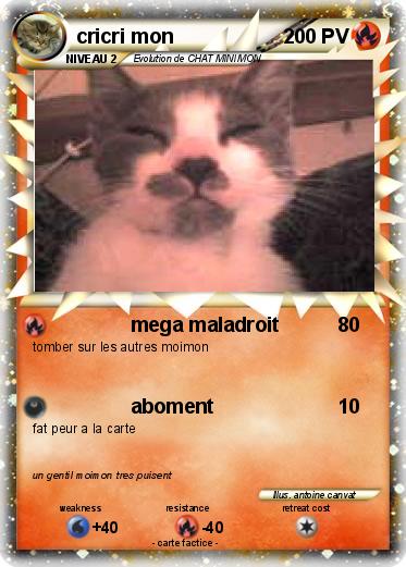 Pokemon cricri mon