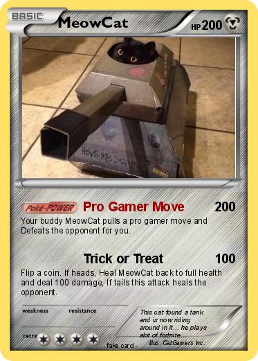 Pokemon MeowCat