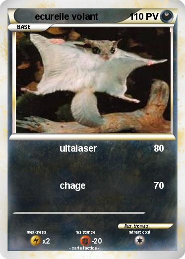 Pokemon ecureile volant