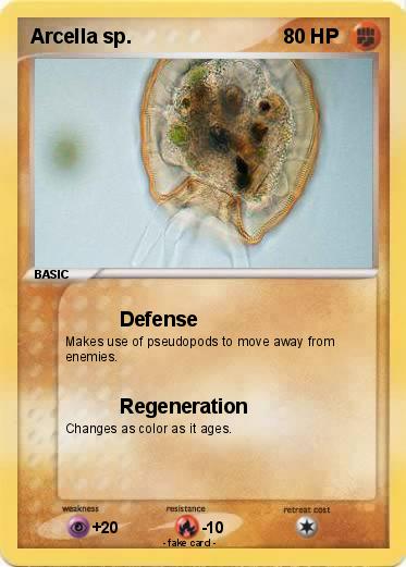 Pokemon Arcella sp.