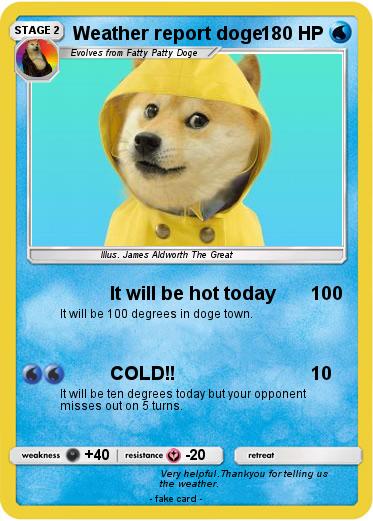 Pokemon Weather report doge