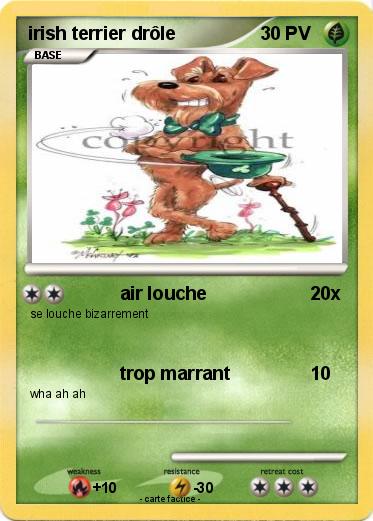 Pokemon irish terrier drôle
