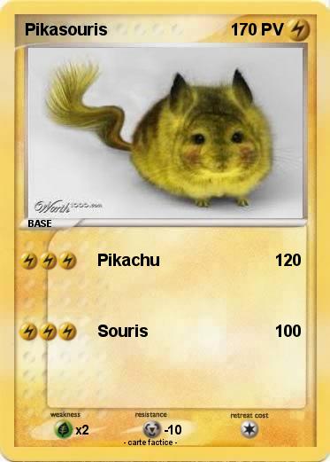 Pokemon Pikasouris