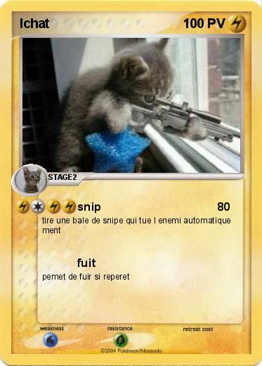 Pokemon lchat