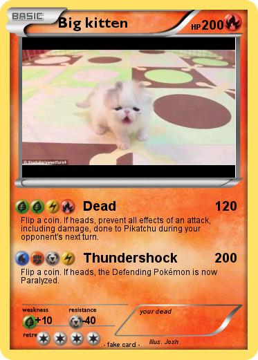 Pokemon Big kitten