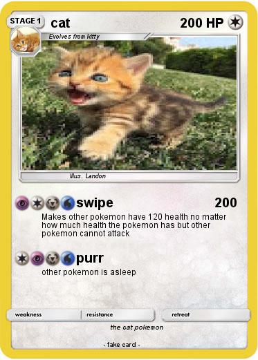 Pokemon cat