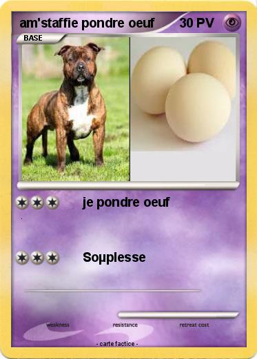Pokemon am'staffie pondre oeuf
