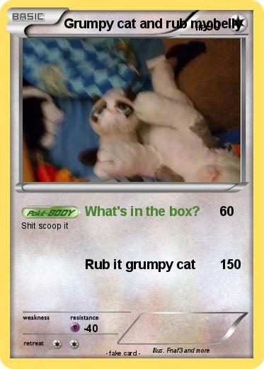 Pokemon Grumpy cat and rub my belly