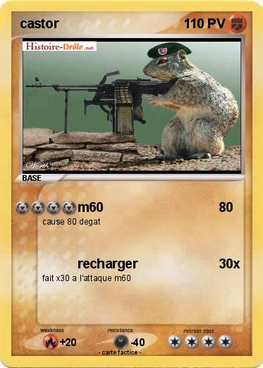 Pokemon castor