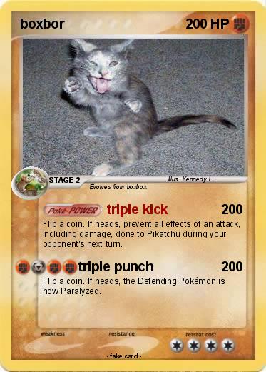 Pokemon boxbor