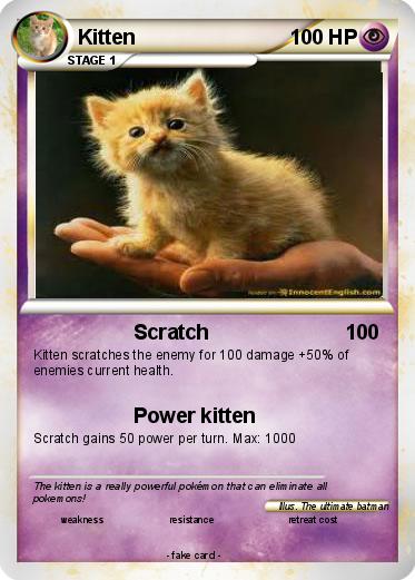 Pokemon Kitten