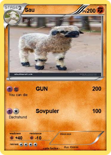 Pokemon Sau