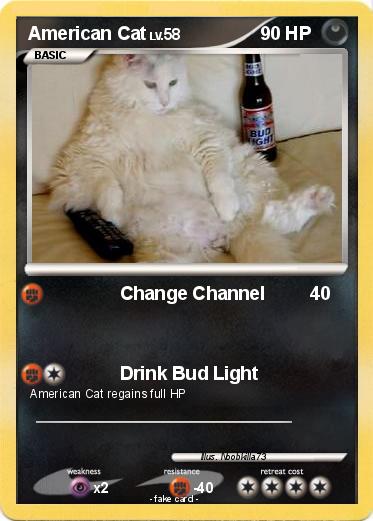 Pokemon American Cat