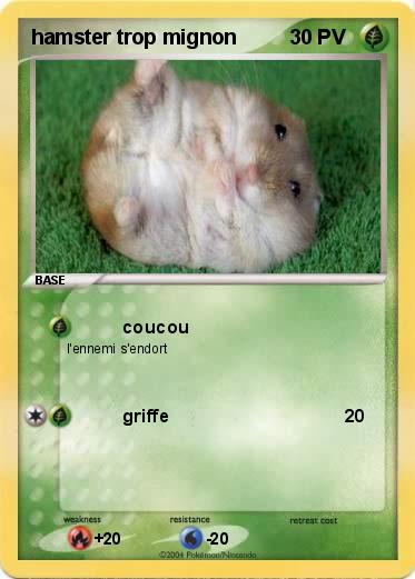 Pokemon hamster trop mignon