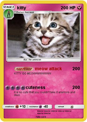 Pokemon kitty