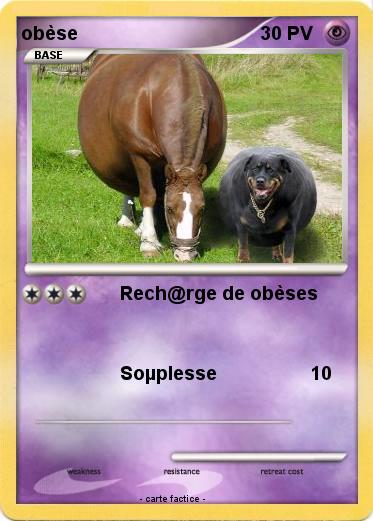 Pokemon obèse