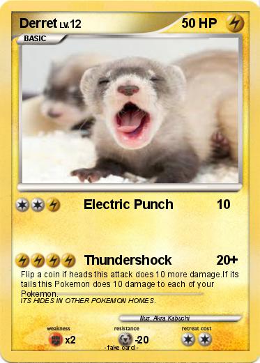 Pokemon Derret
