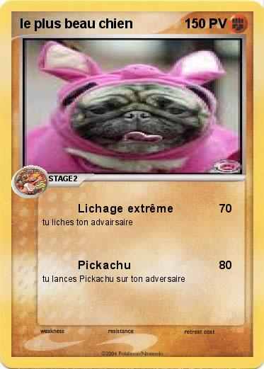 Pokemon le plus beau chien