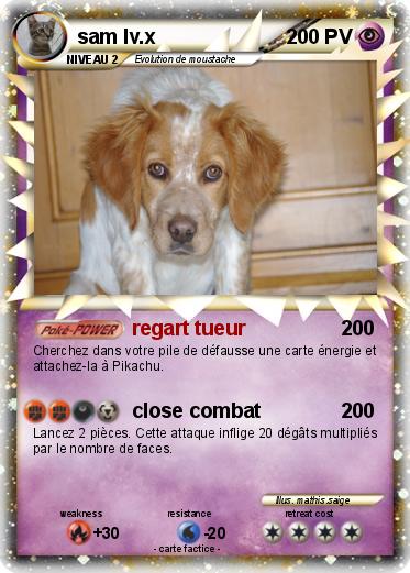 Pokemon sam lv.x