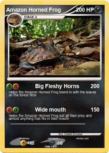 Pokemon Amazon Horned Frog