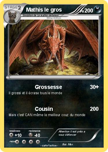 Pokemon Mathis le gros
