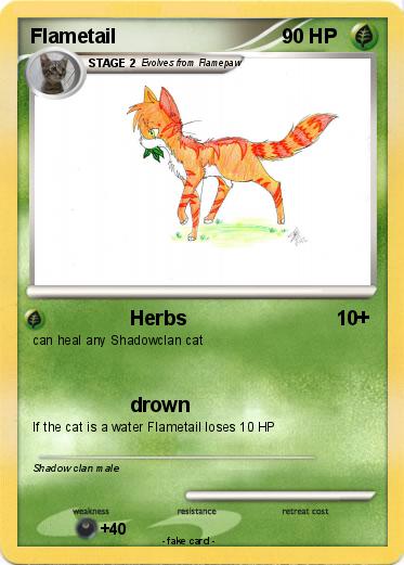 Pokemon Flametail